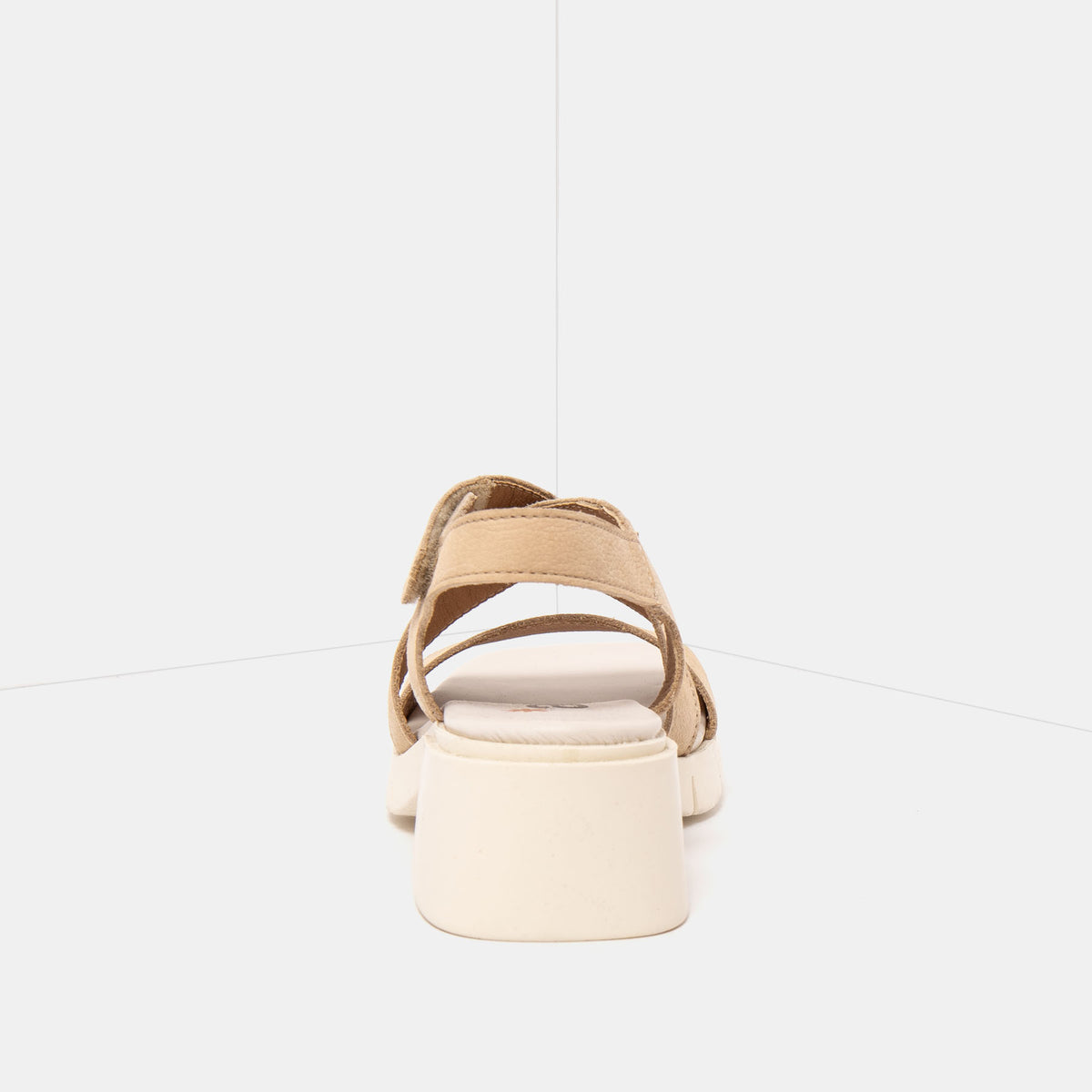 gid://shopify/Product/16173094175052_5