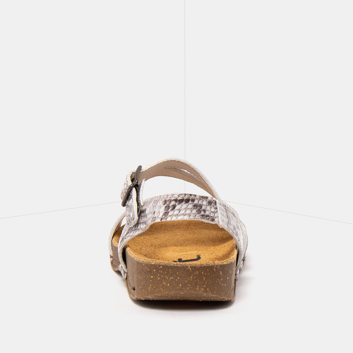 gid://shopify/Product/16172860473676_5