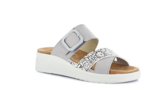 gid://shopify/Product/15798255059276_57721846563148