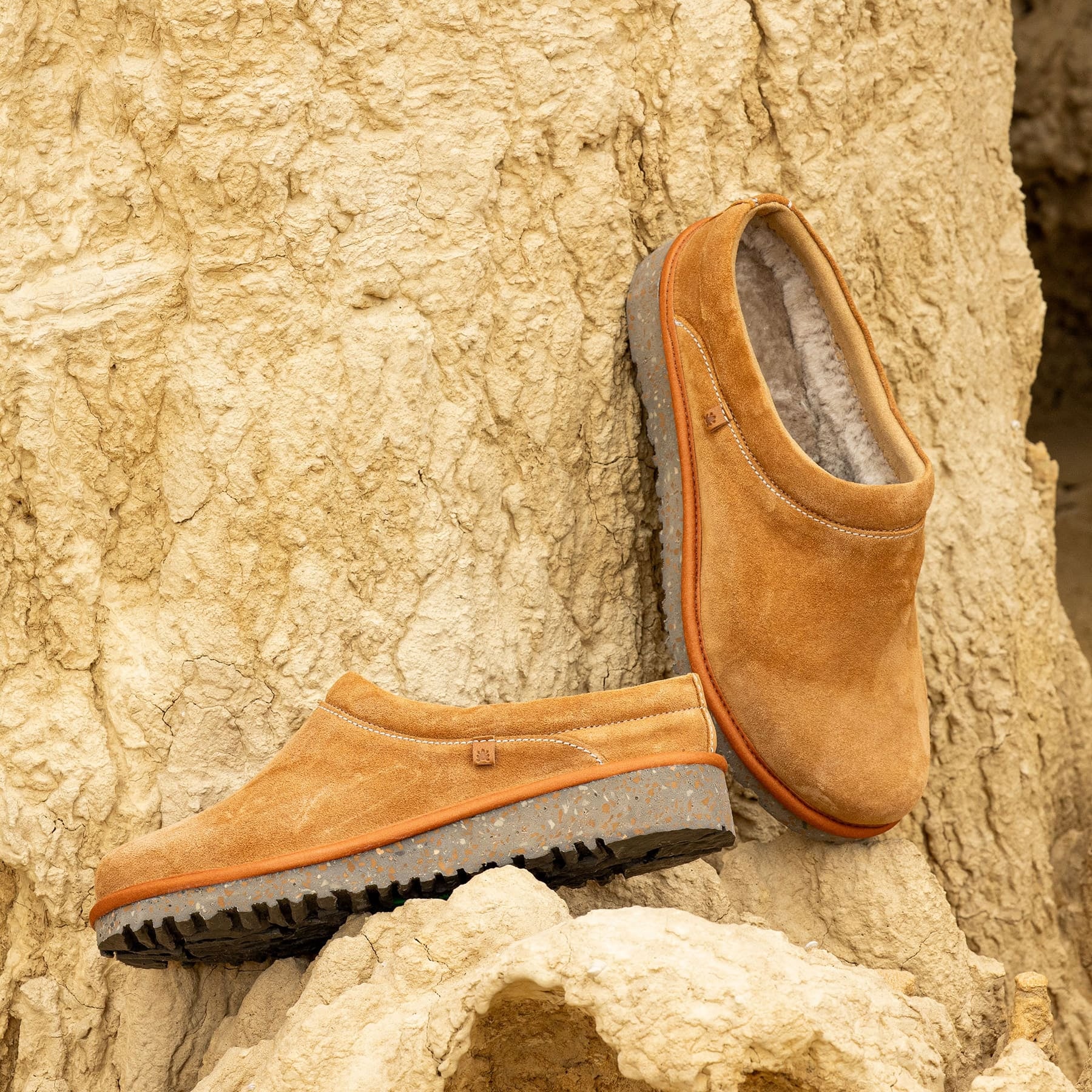 gid://shopify/Product/15700032127308_7