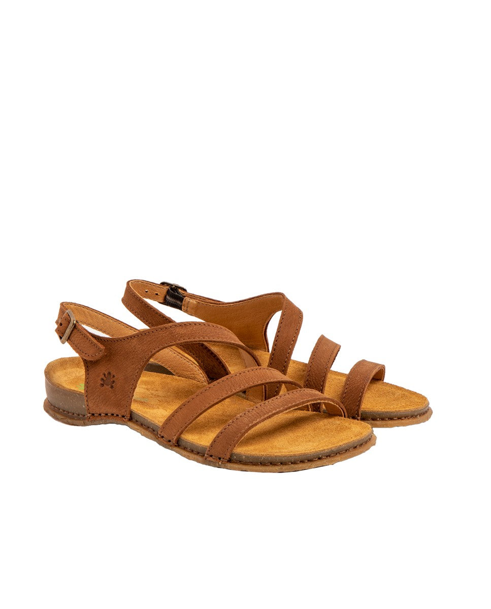 gid://shopify/Product/15791571272012_2