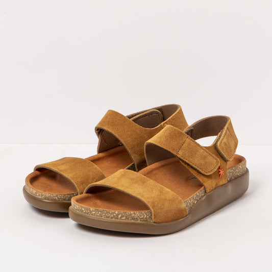 gid://shopify/Product/15785710158156_2