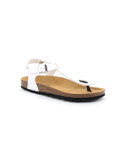 gid://shopify/Product/15737653854540_1