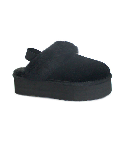 gid://shopify/Product/15740065349964_1