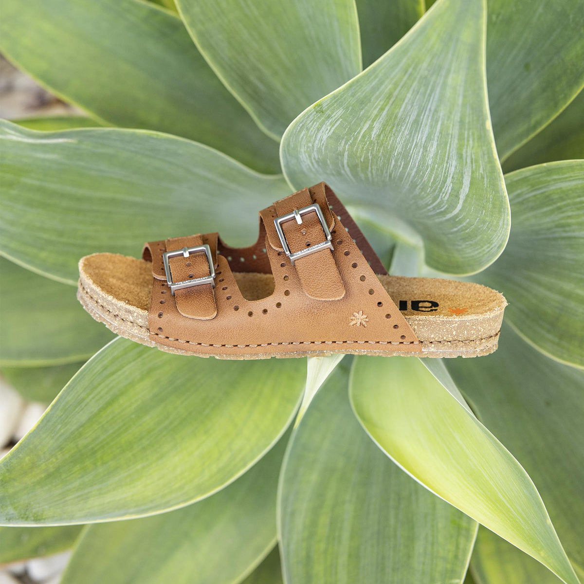 gid://shopify/Product/16172834160972_7
