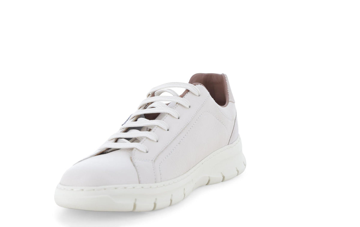 gid://shopify/Product/15761230856524_3