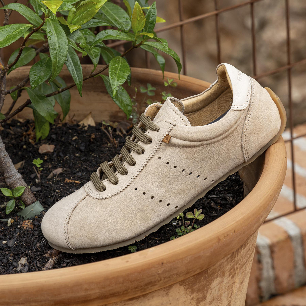 gid://shopify/Product/16124813345100_7