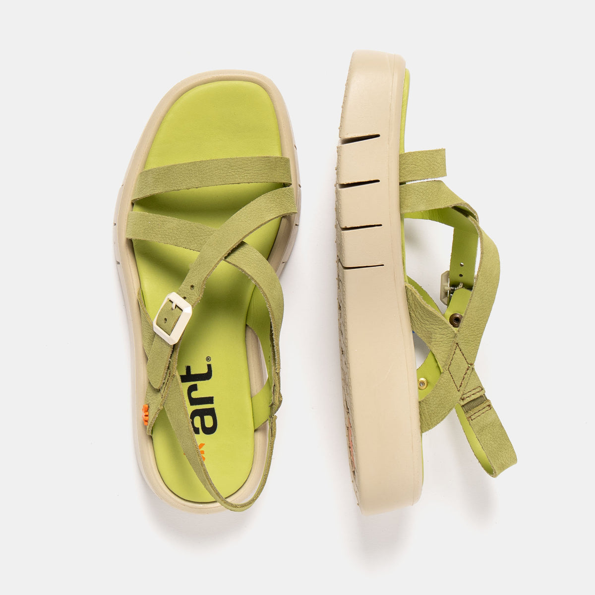 gid://shopify/Product/16172970901836_4