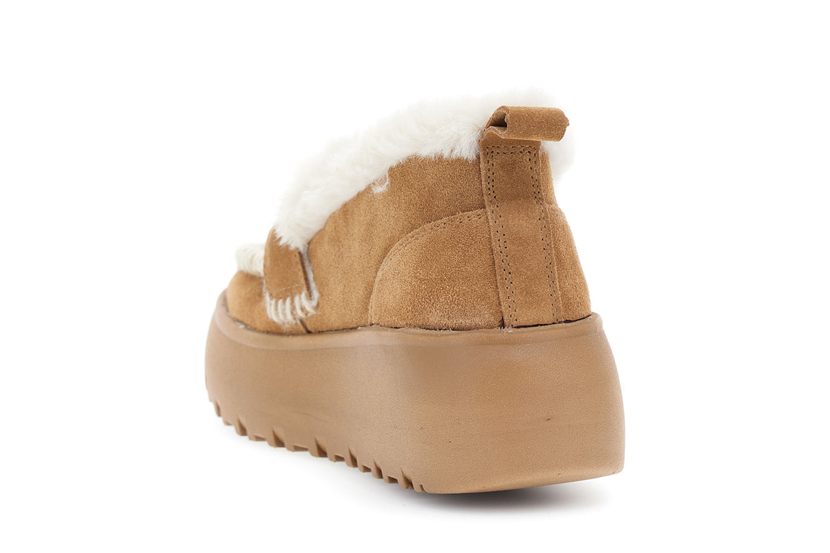 gid://shopify/Product/16176172761420_2