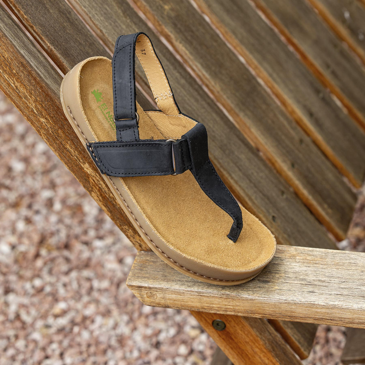 gid://shopify/Product/16124878225740_7