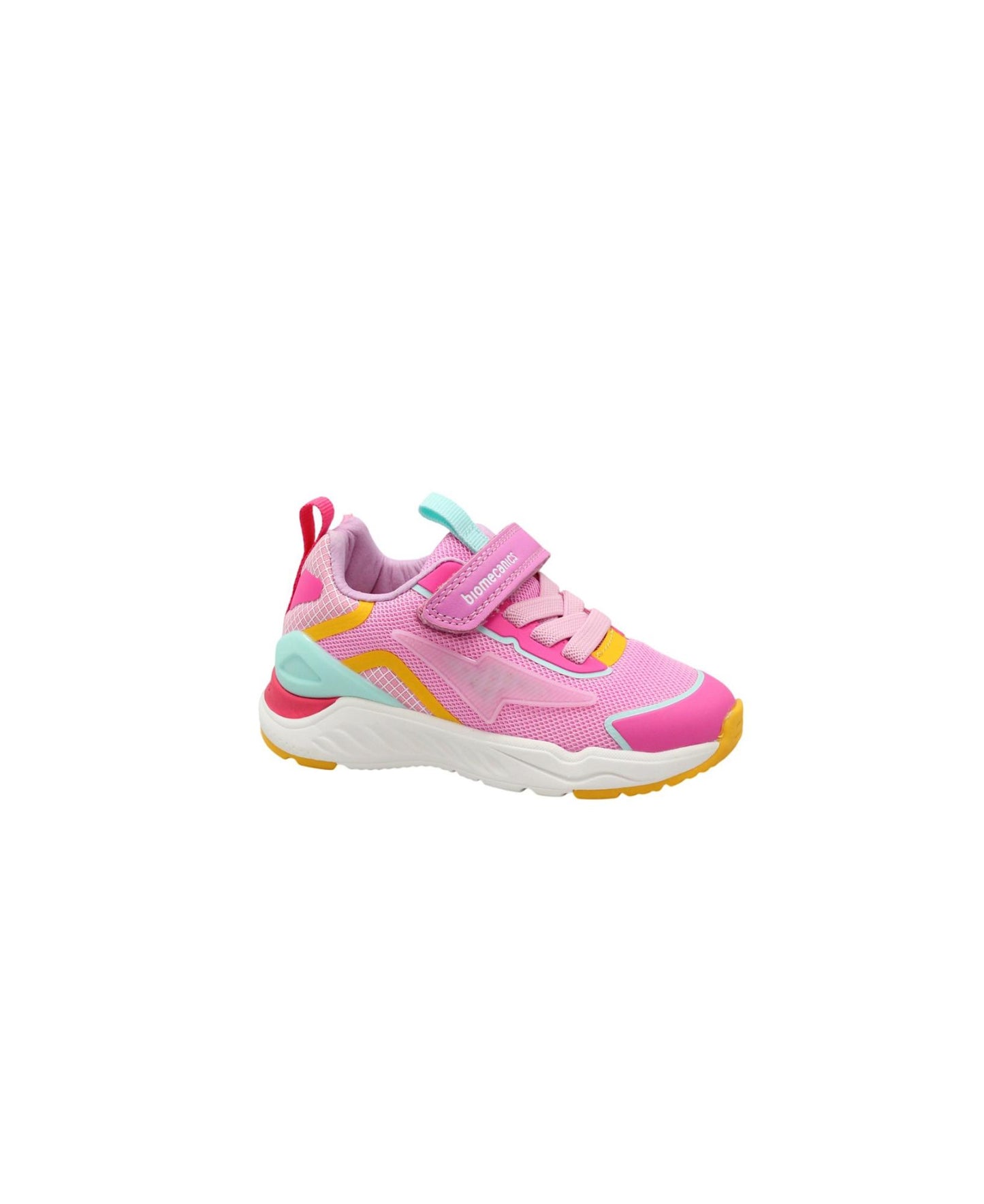 gid://shopify/Product/16061780066636_1