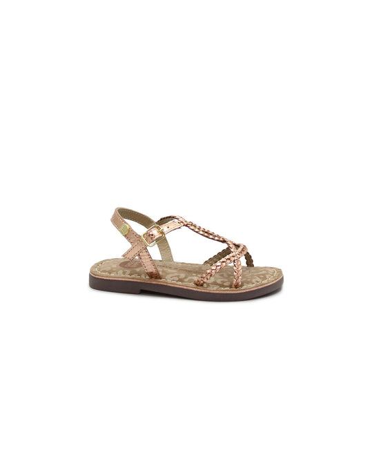 gid://shopify/Product/15738473316684_1