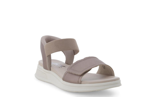 gid://shopify/Product/15686343164236_2
