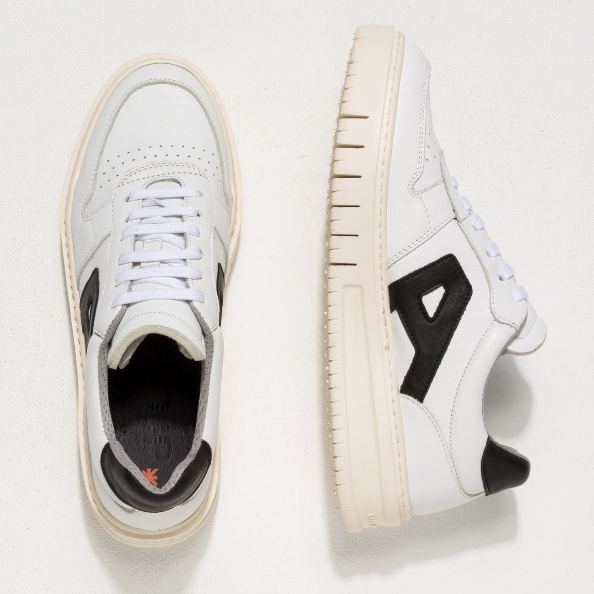 gid://shopify/Product/16171459477836_7