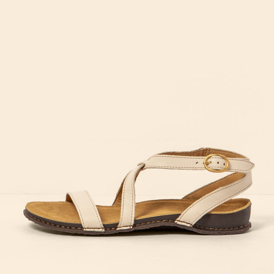 gid://shopify/Product/15700512375116_1