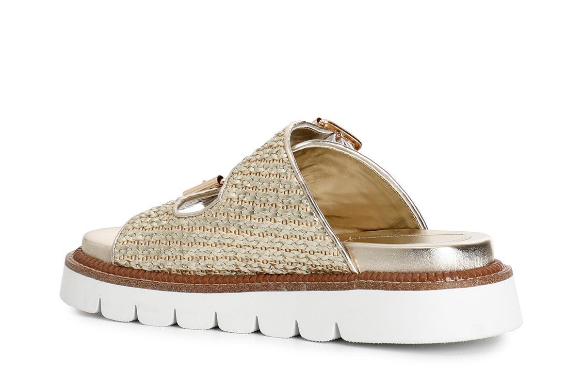 gid://shopify/Product/16122042253644_2