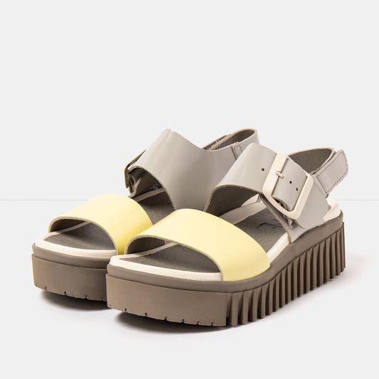 gid://shopify/Product/16172936790348_2