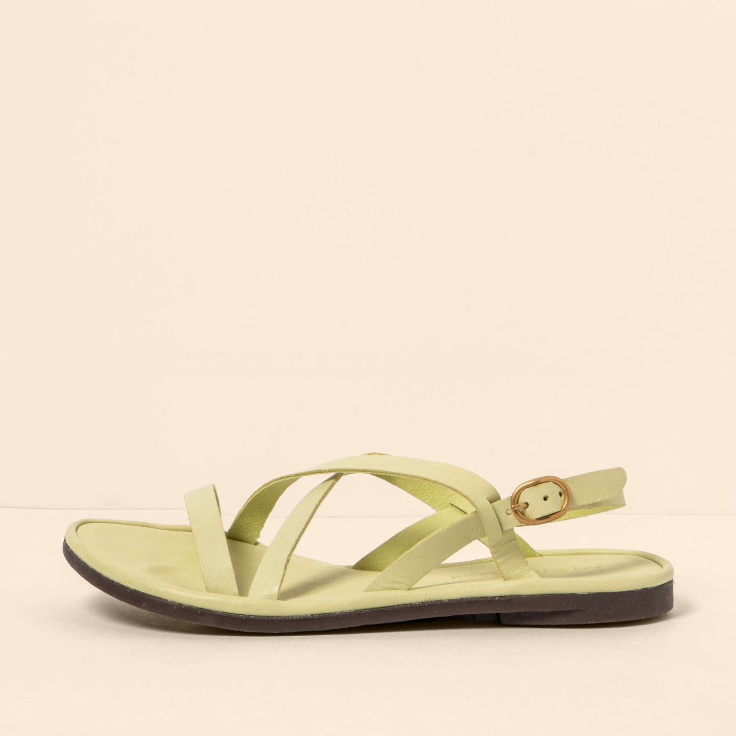 gid://shopify/Product/15700474036556_1