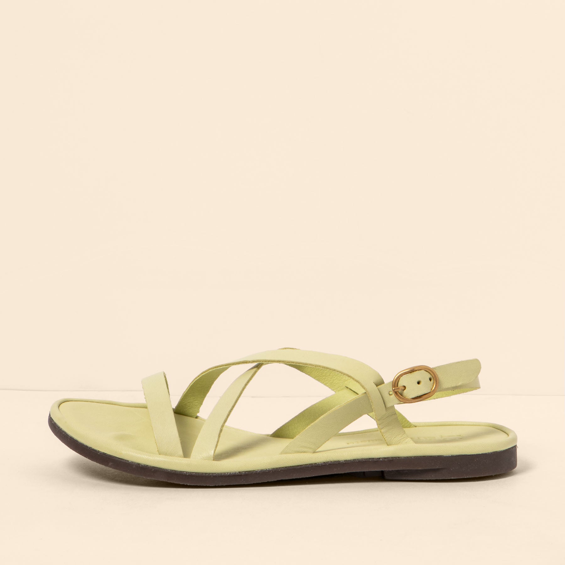 gid://shopify/Product/15700474036556_1