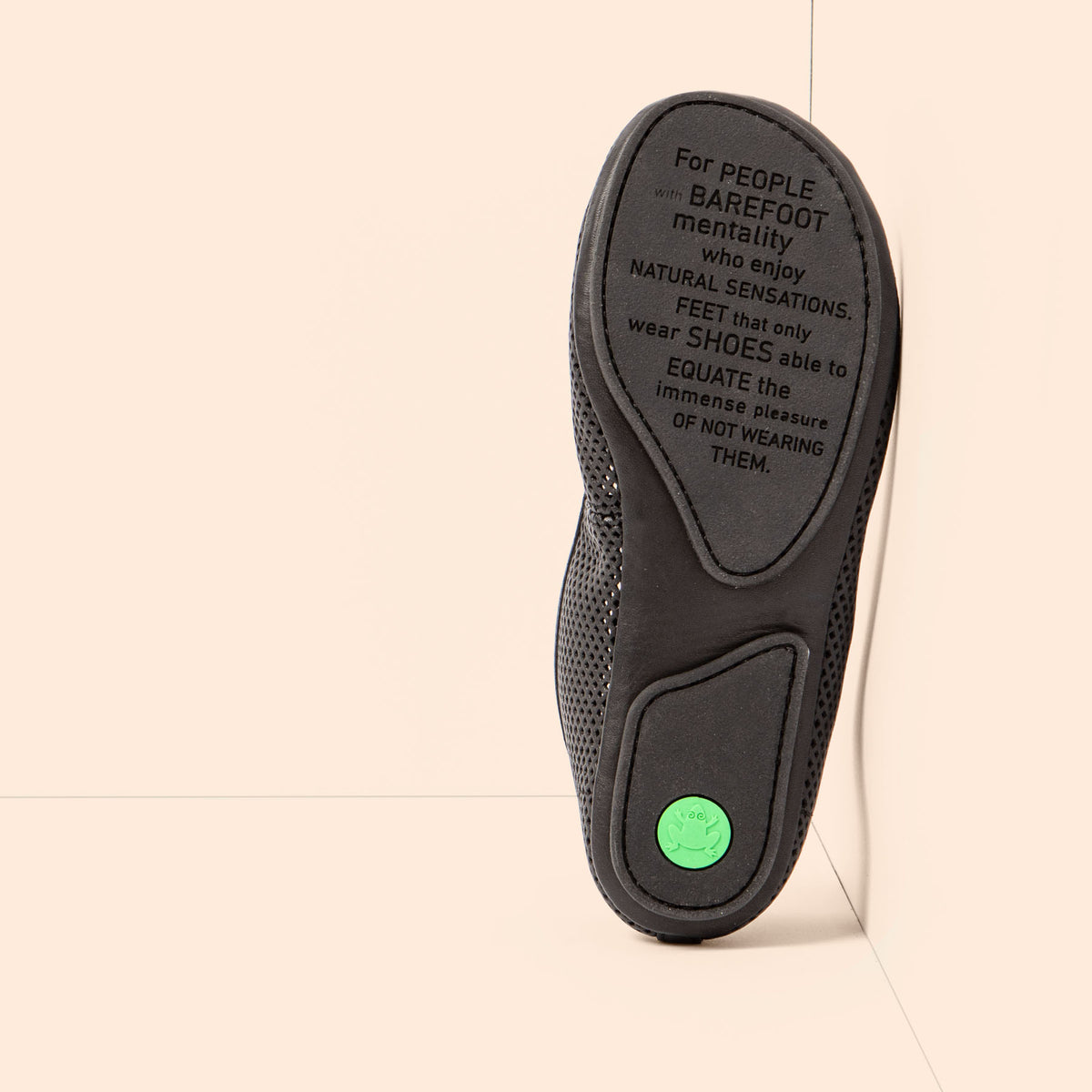 gid://shopify/Product/16124784214348_3