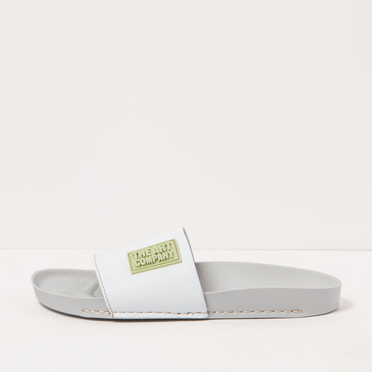 gid://shopify/Product/15693622444364_1