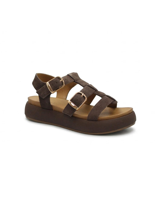 gid://shopify/Product/15738663207244_1