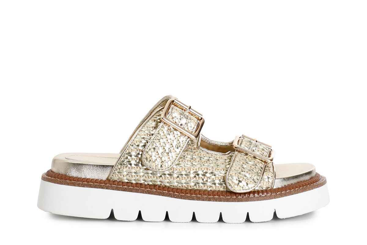 gid://shopify/Product/16122042253644_58874380353868