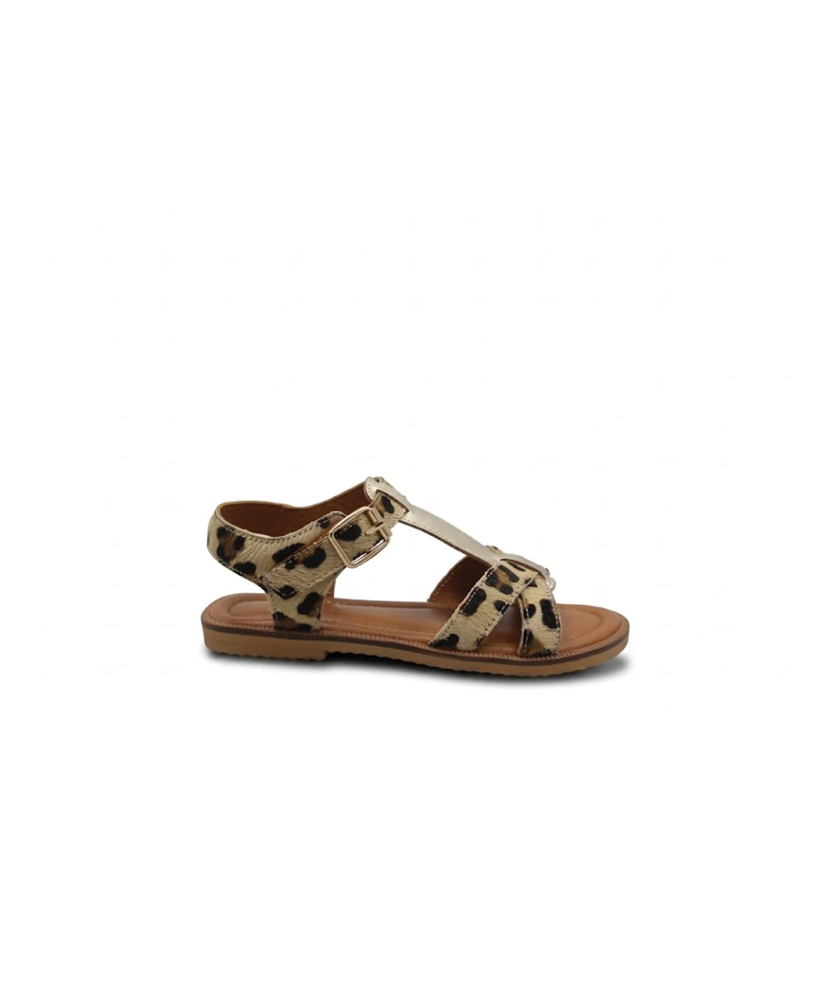 gid://shopify/Product/15740616933708_1