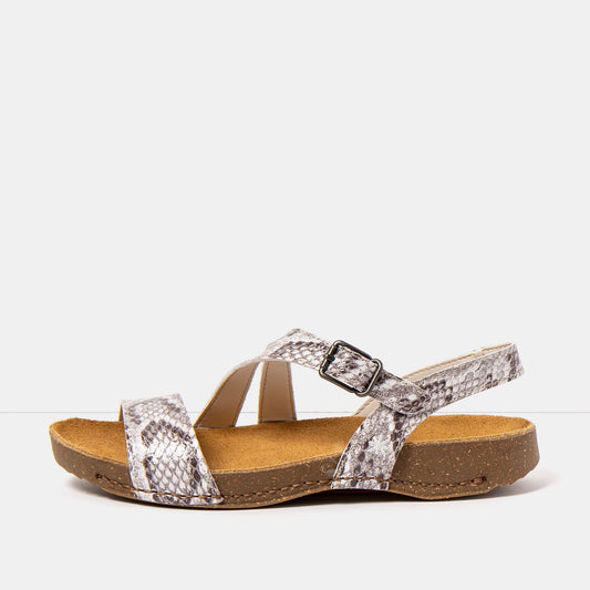 gid://shopify/Product/16172860473676_1