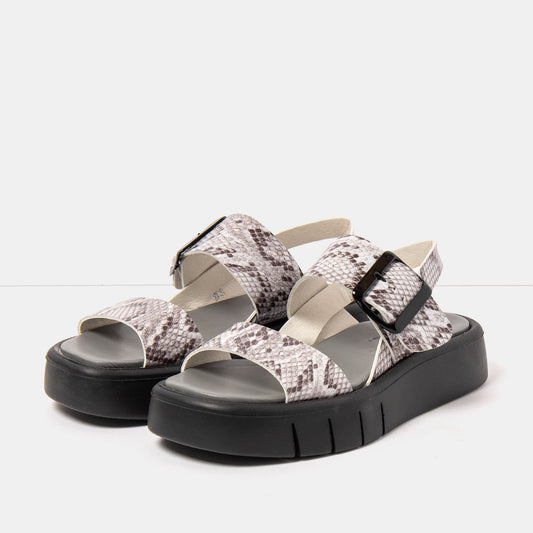 gid://shopify/Product/16172974080332_2