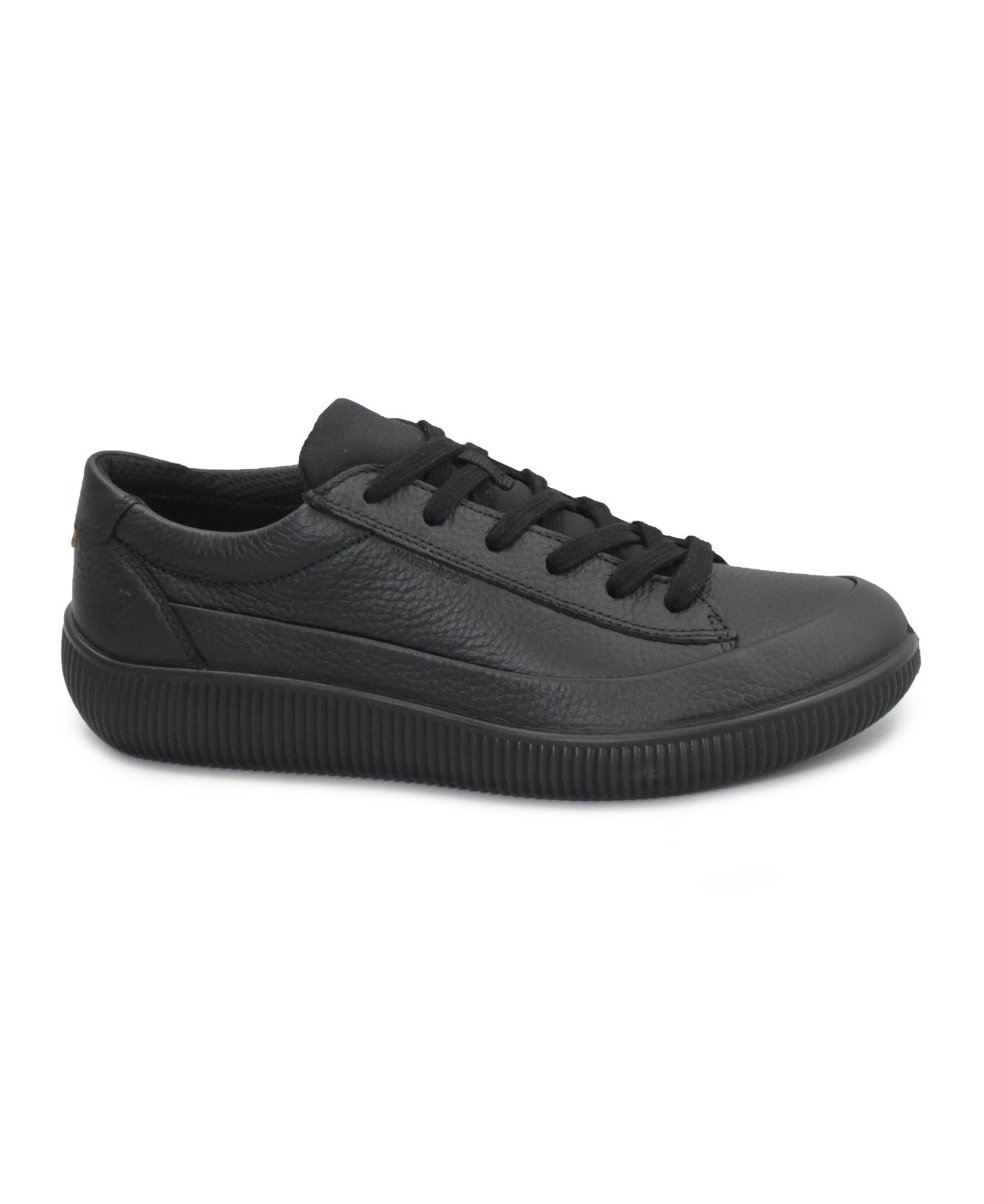 gid://shopify/Product/15737872154956_1