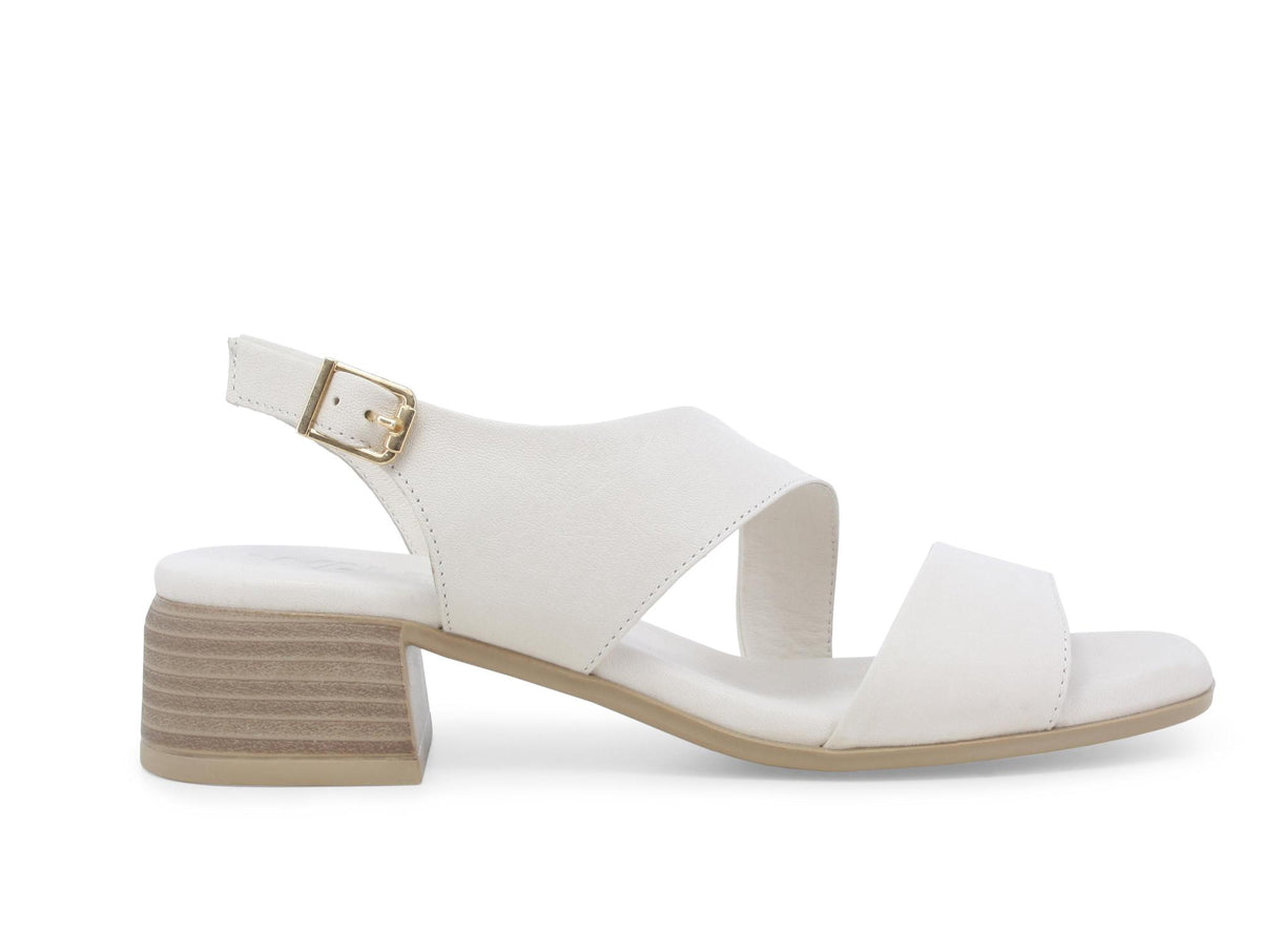 gid://shopify/Product/15761214177612_1