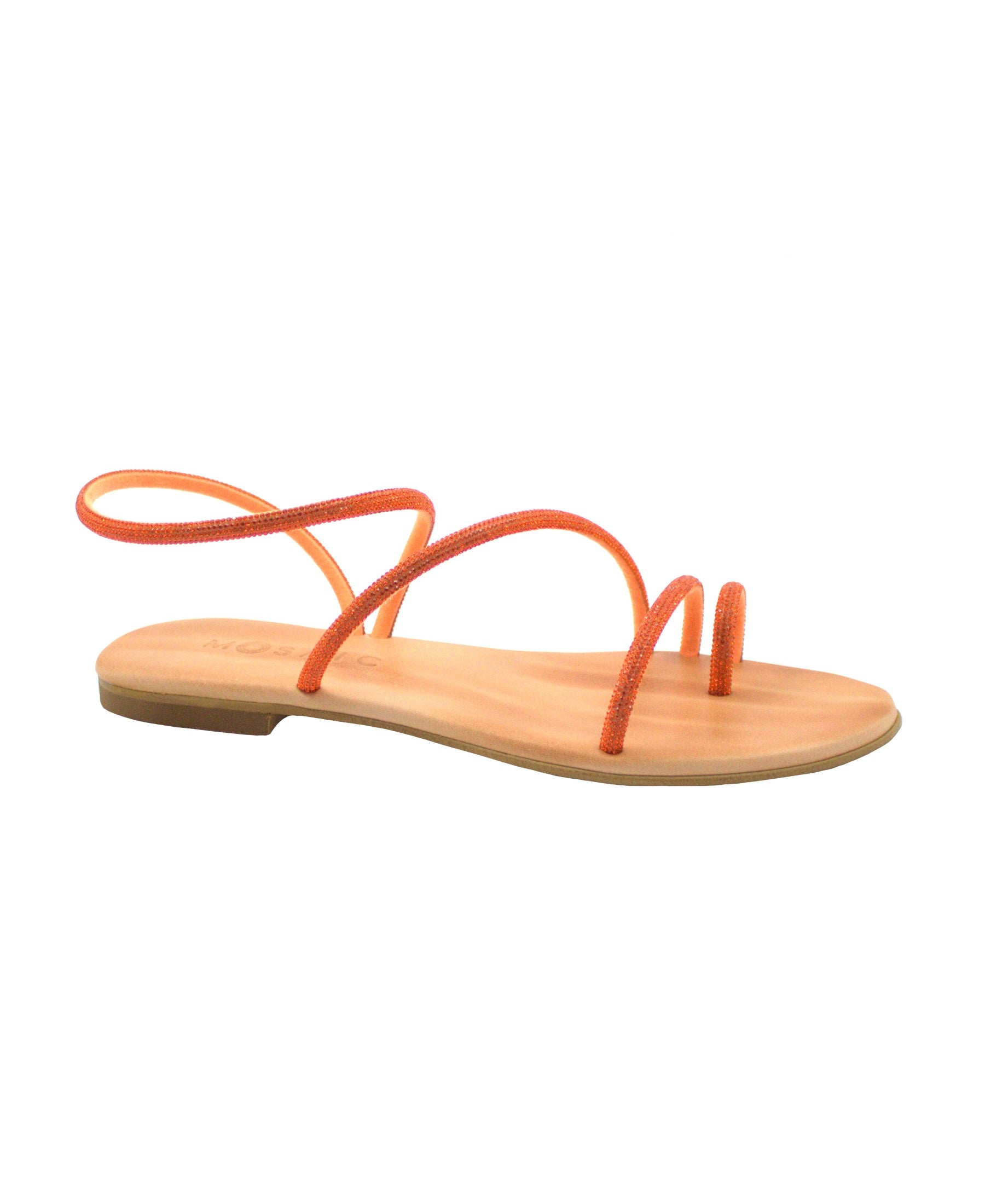 gid://shopify/Product/15739992998220_1
