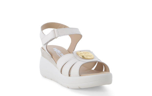 gid://shopify/Product/15761199857996_2