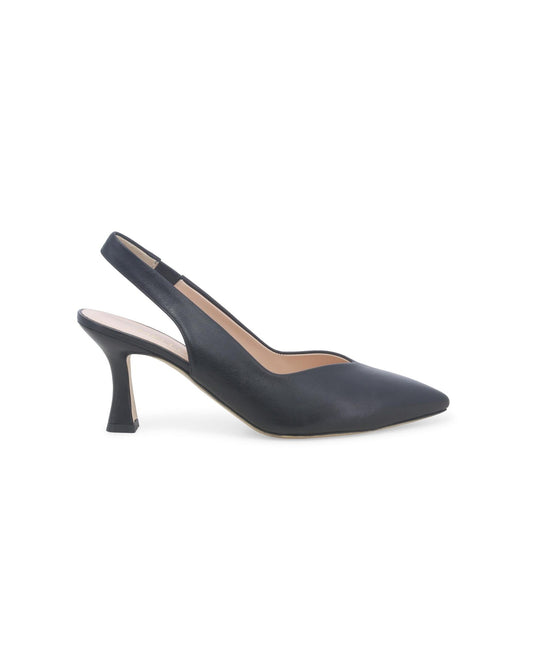 gid://shopify/Product/16028593848652_1