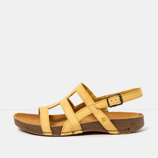 gid://shopify/Product/16172864569676_1