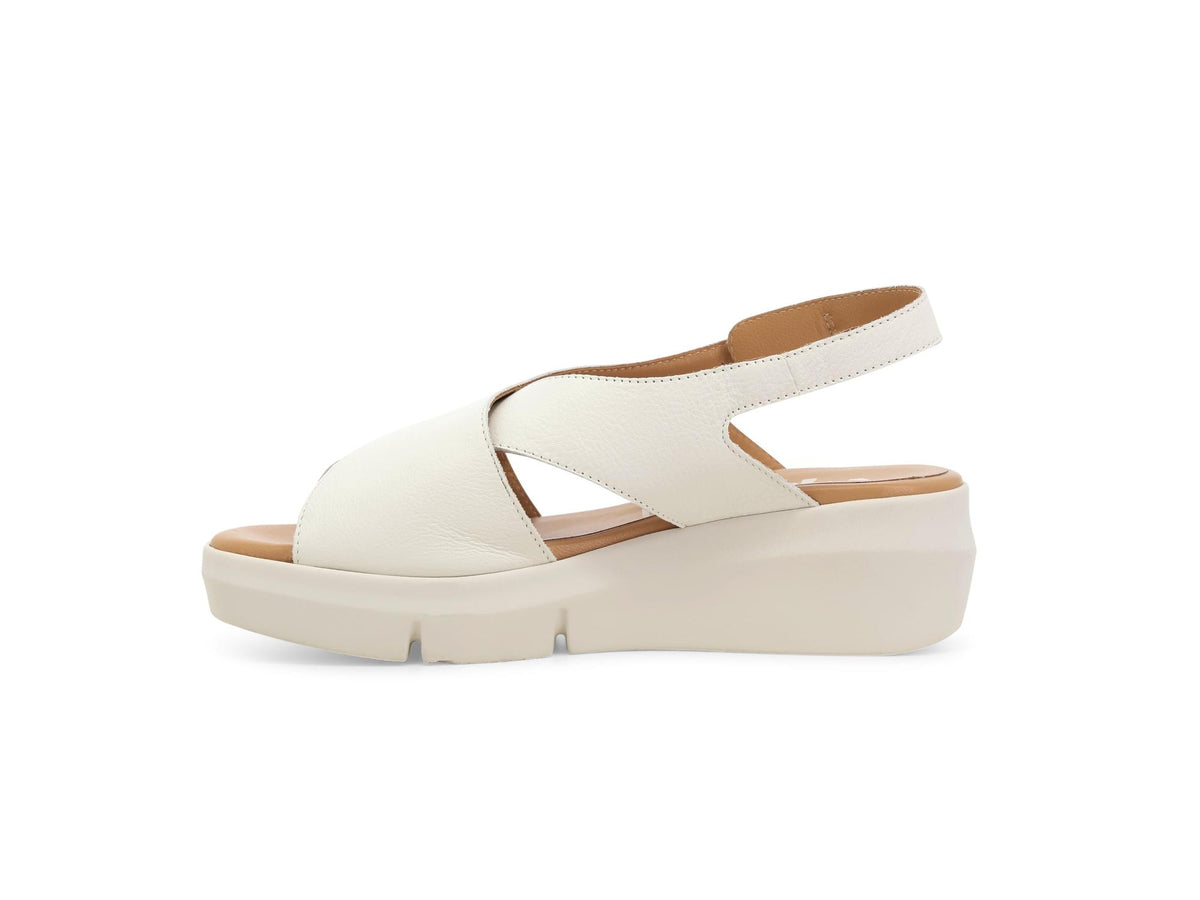 gid://shopify/Product/15761169613132_4