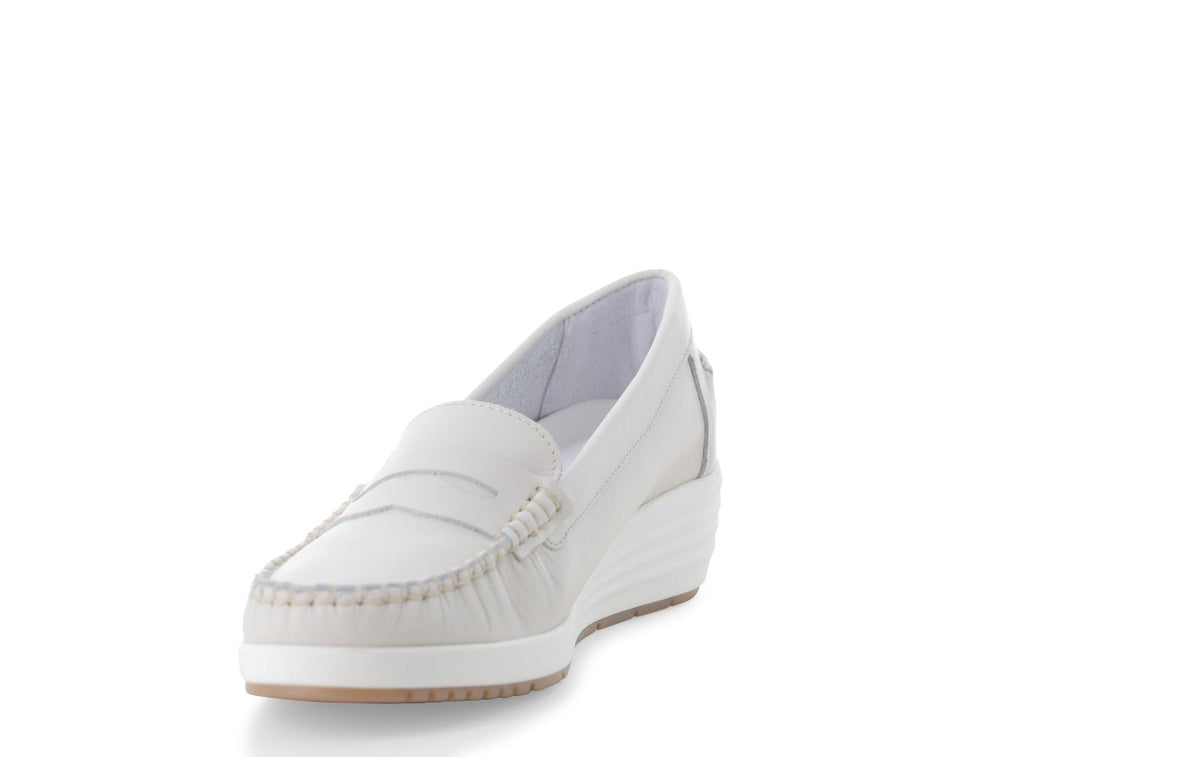 gid://shopify/Product/15761190060364_3