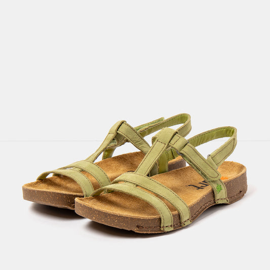 gid://shopify/Product/16172855198028_2
