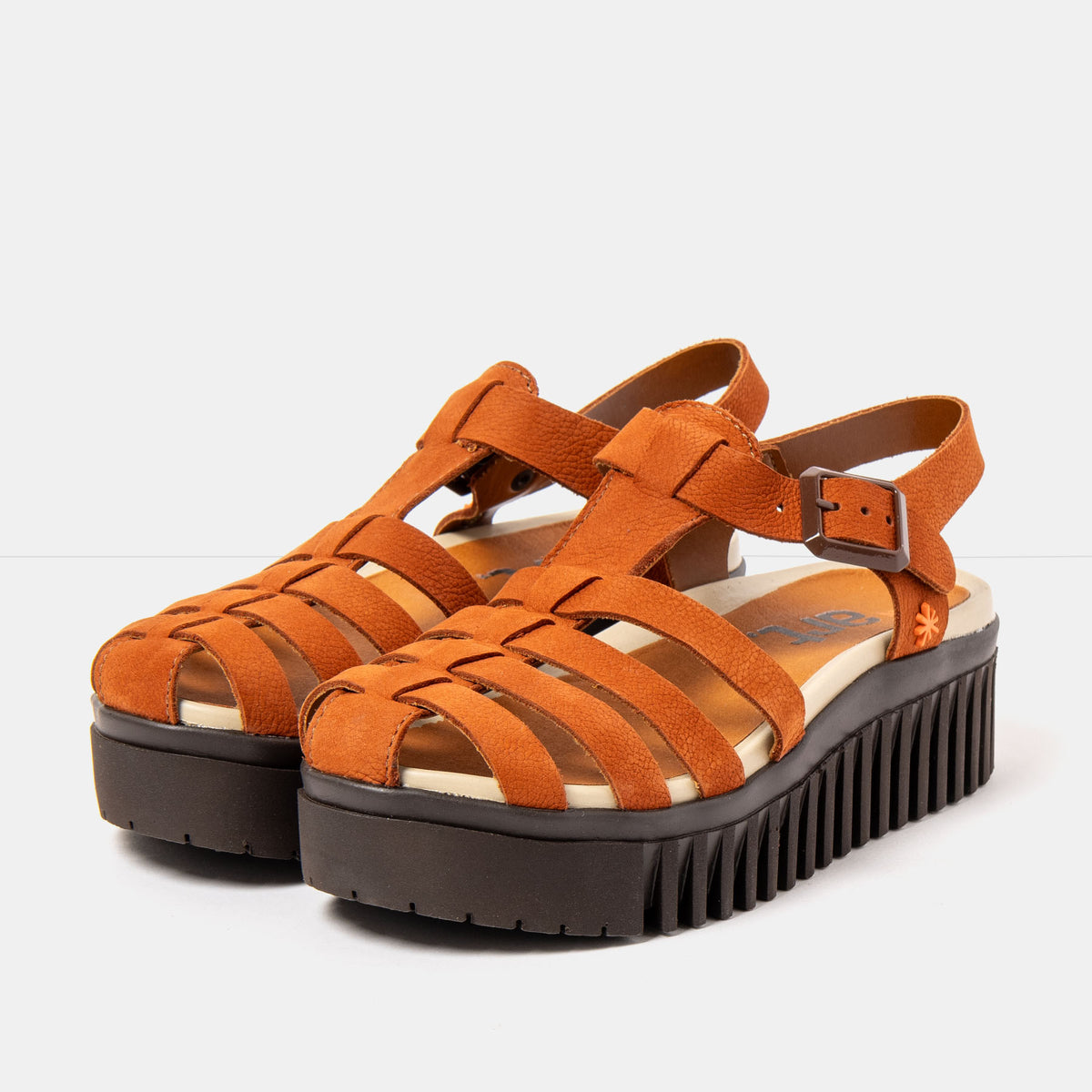 gid://shopify/Product/16172934463820_2