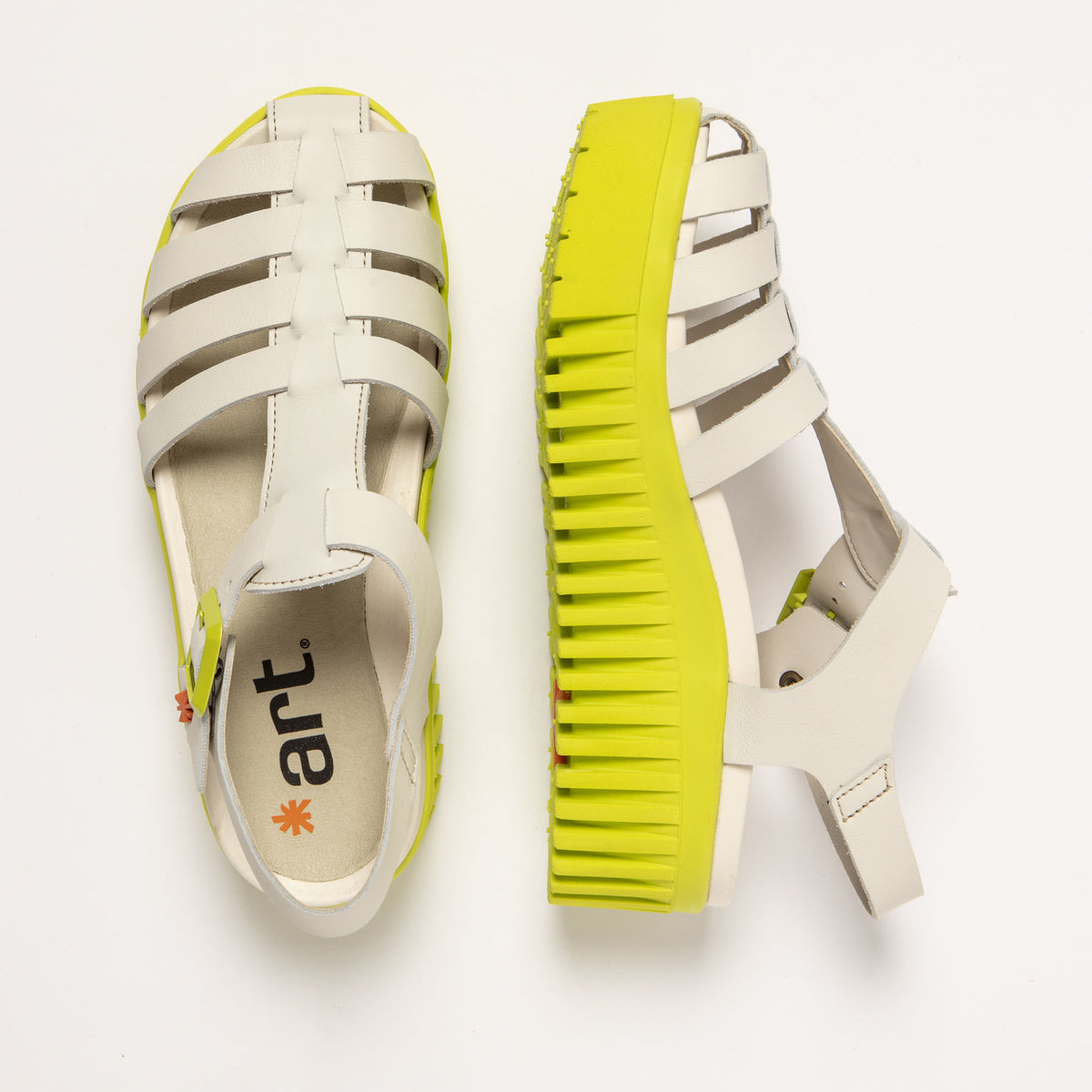 gid://shopify/Product/16171333452108_7