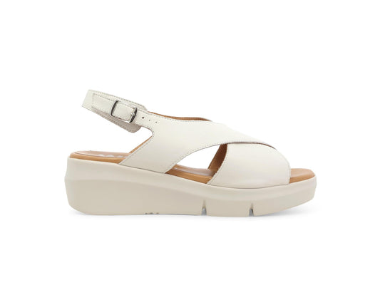 gid://shopify/Product/15761169613132_1