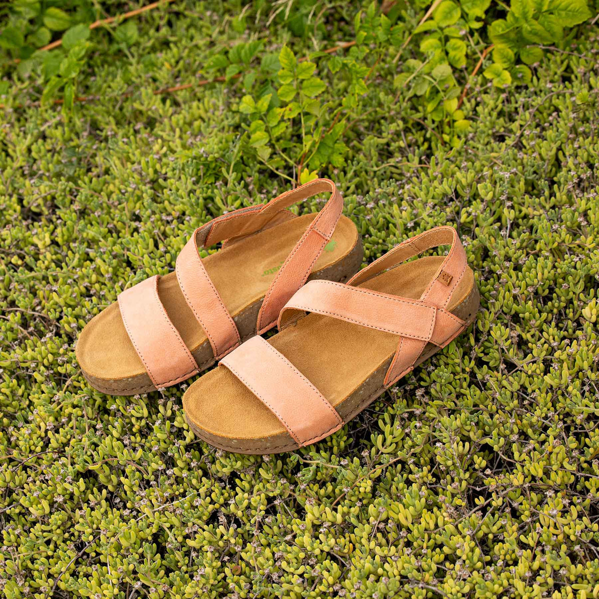 gid://shopify/Product/16124759703884_7