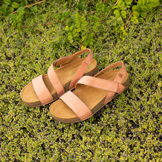 gid://shopify/Product/15700061978956_7