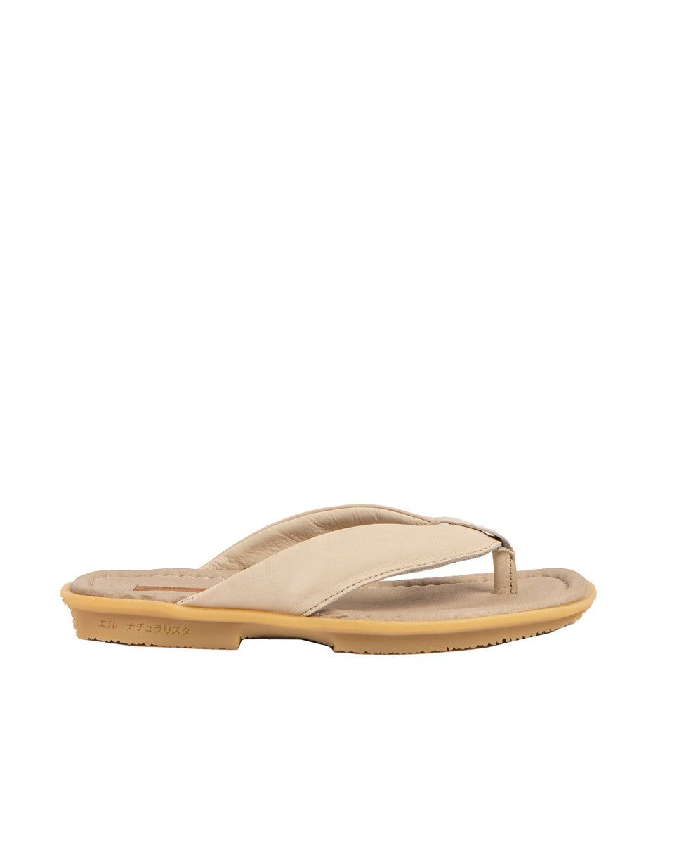 gid://shopify/Product/15700142195020_1