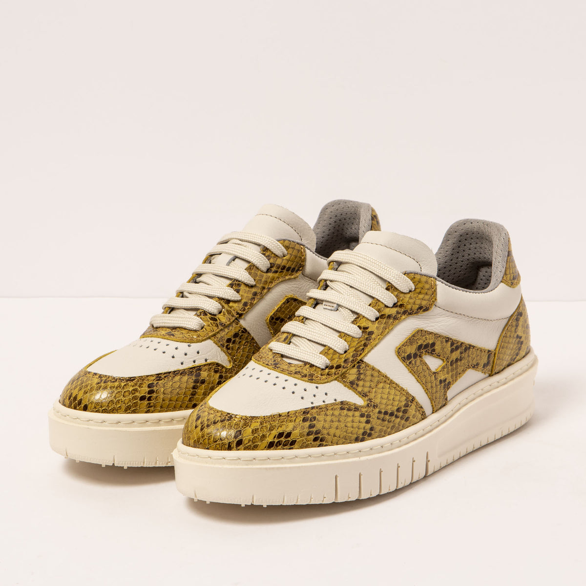 gid://shopify/Product/16172058280268_2