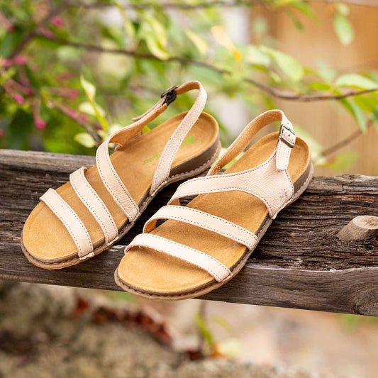 gid://shopify/Product/15700523549004_7