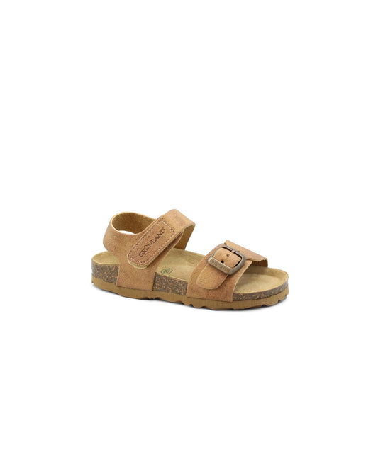 gid://shopify/Product/15738601603404_1