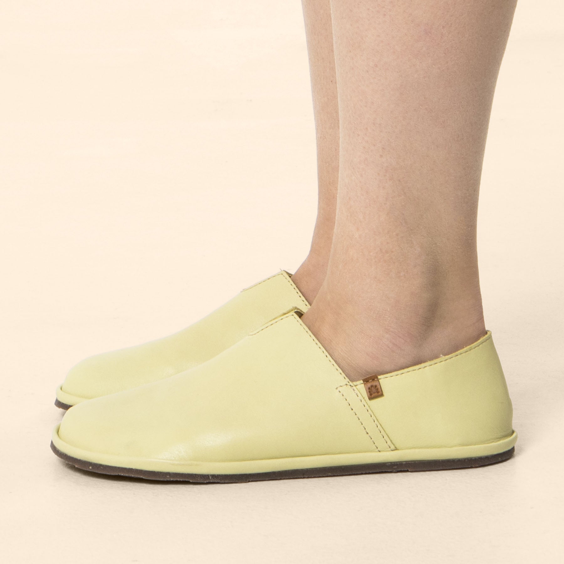 gid://shopify/Product/15700420788556_1