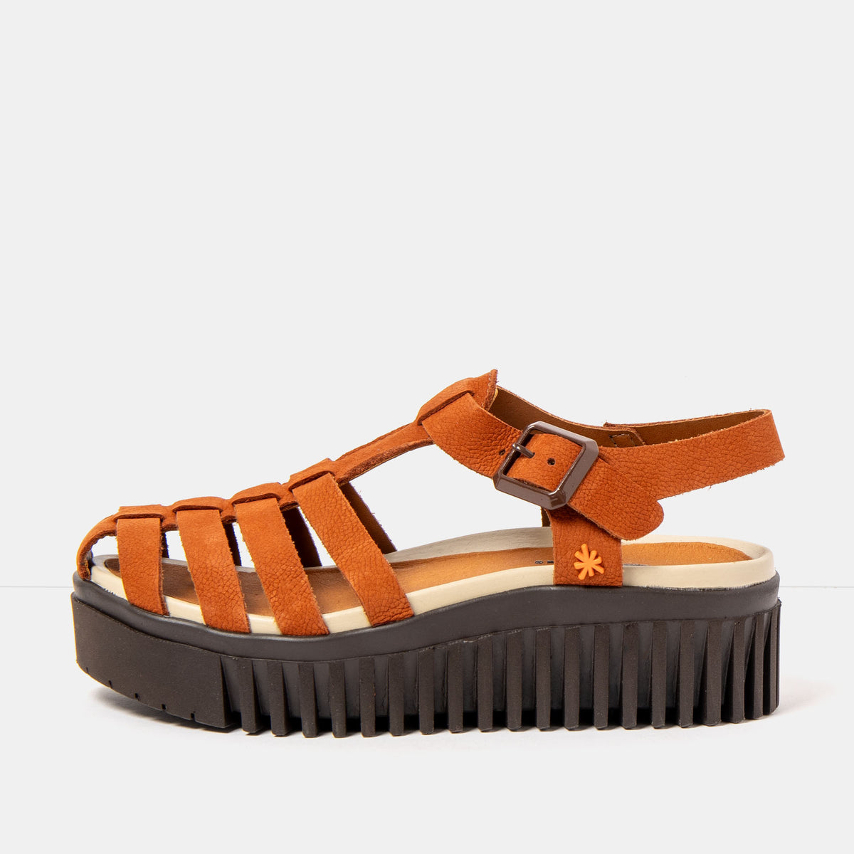 gid://shopify/Product/16172934463820_1